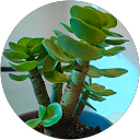 PF Chung profile picture